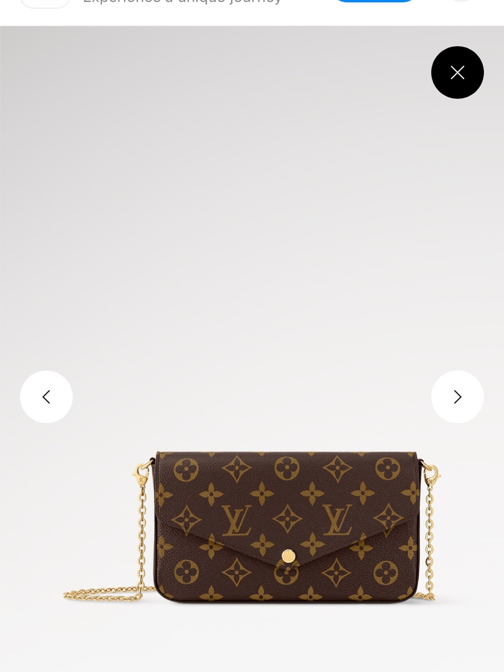 Louis Vuitton Monogram Chain Wallet Crossbody – Brown with Gold Hardware